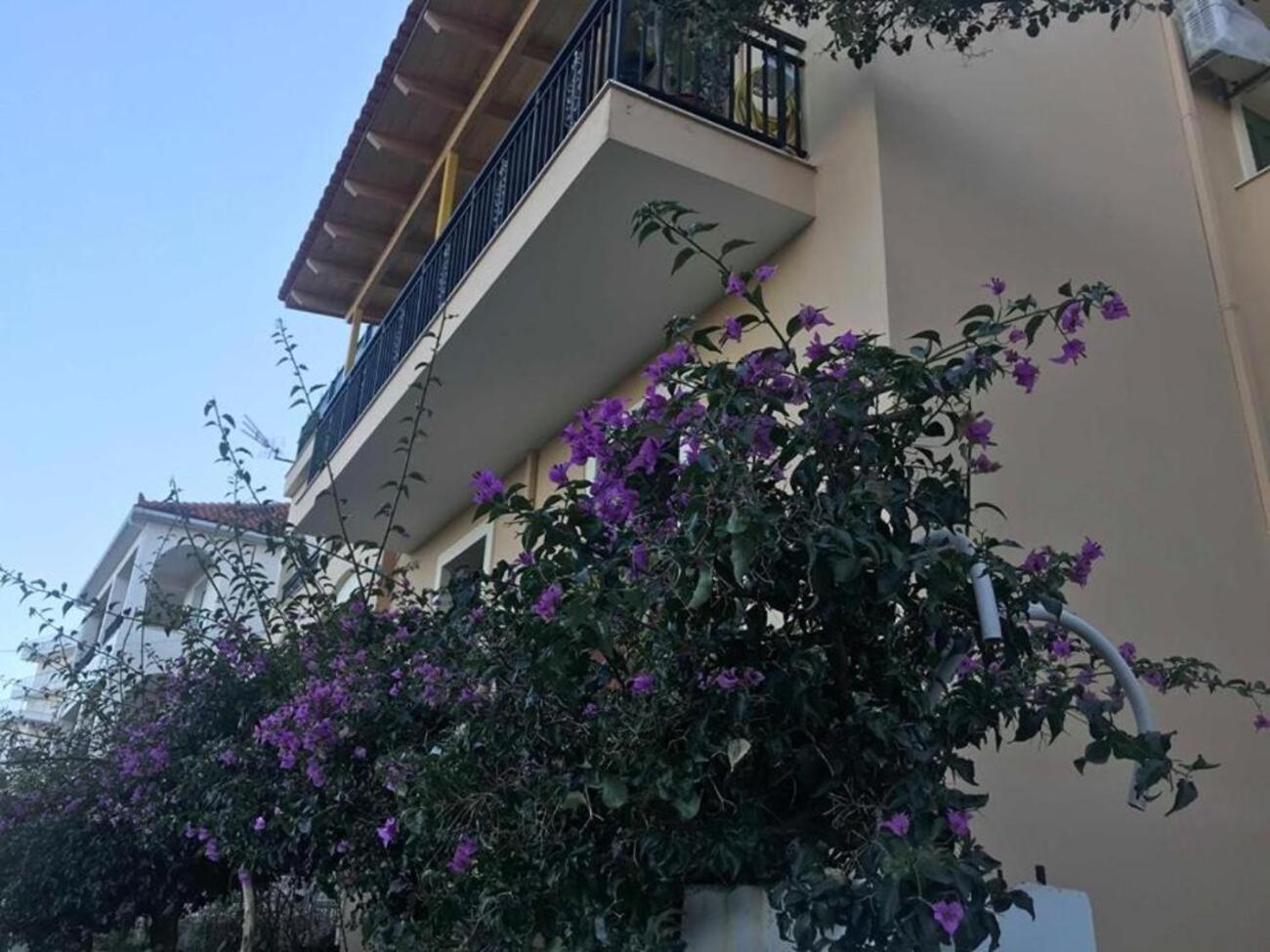 Marinos Studios Poros  Dış mekan fotoğraf